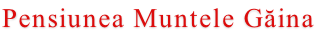 Pensiunea Muntele Găina