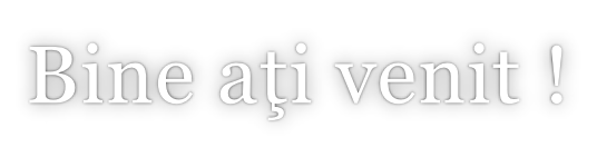 Bine aţi venit !